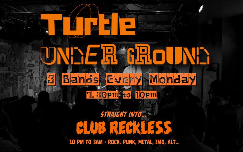 Turtle Underground What S On Reading